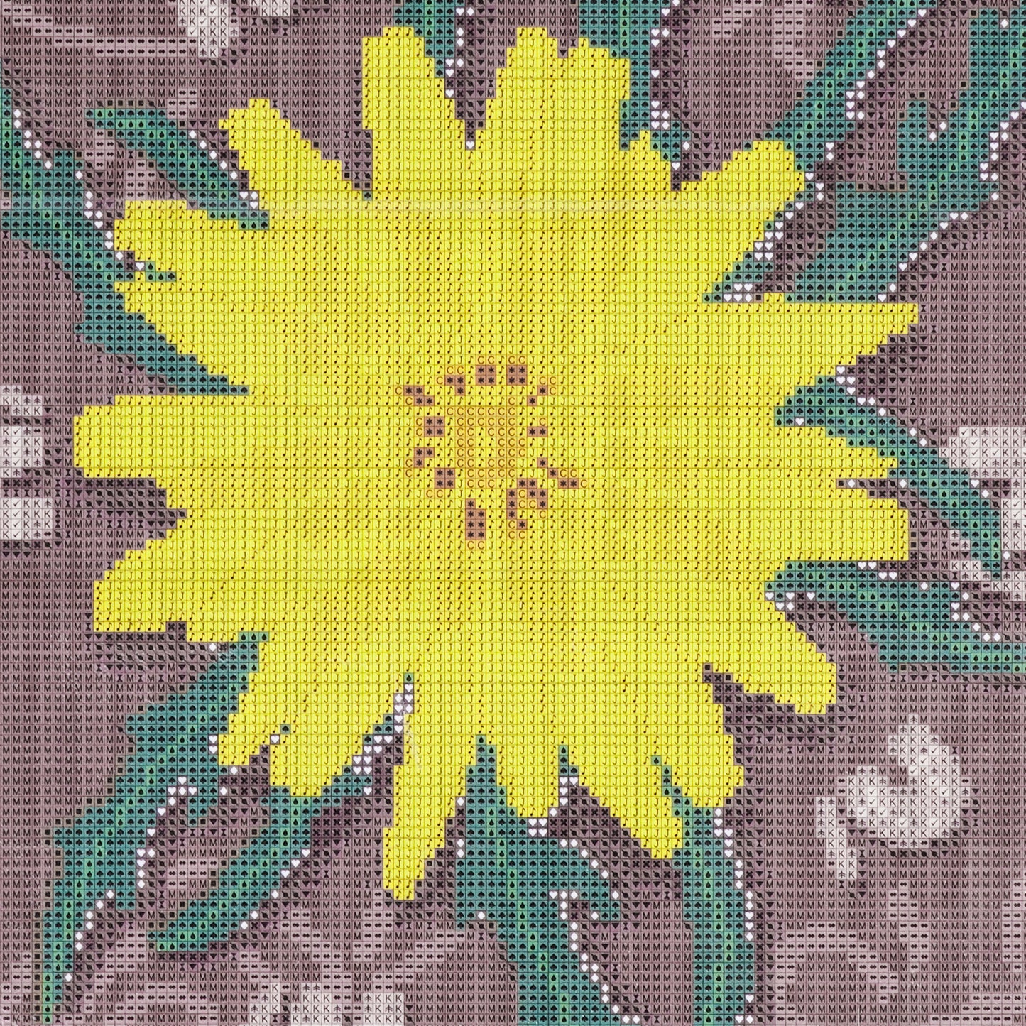 Diamond Dot Art | Murnong (Yam Daisy)