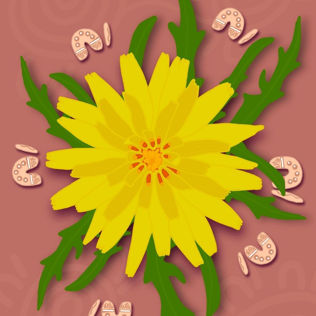 Diamond Dot Art | Murnong (Yam Daisy)